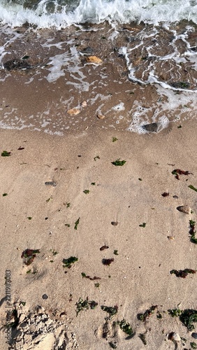 footprints on the beach