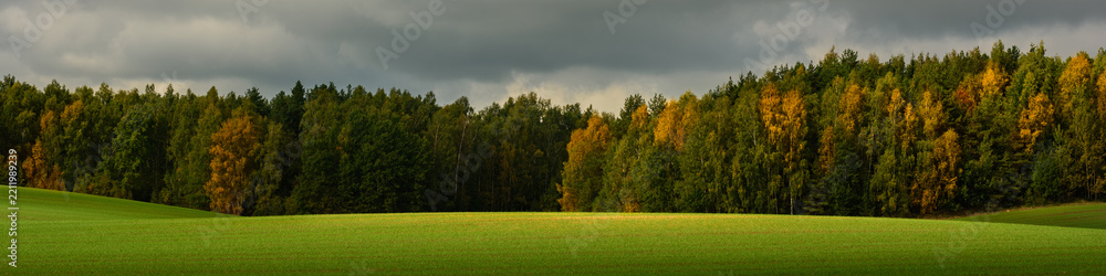 Fototapeta premium Autumn landscape. A colorful September forest and a rolling green field under an overcast sky. A wide panoramic photo of a natural landscape