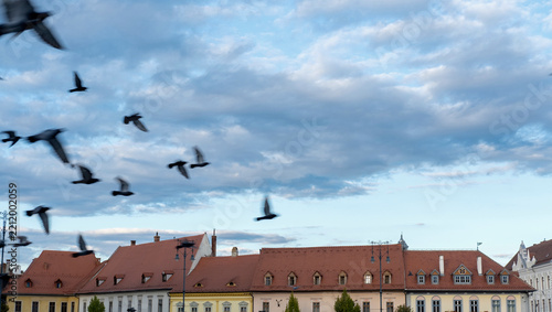Flock of pigeons flying in motion blur over the historic terracotta rooftops with the famous 