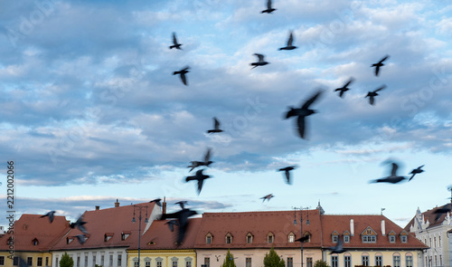  Dynamic shot of birds flying in motion blur over the old town of Sibiu, showcasing authentic architecture with unique roof windows, Transylvania.