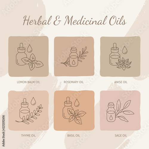 Herbal and Medicinal Oils Collection with Botanical Line Art Icons