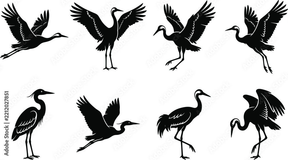 Obraz premium Set of black silhouette of cranes in various flight and standing poses on white background