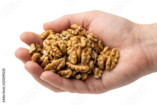 Shelled Walnuts Held In Human Hand Over White Background