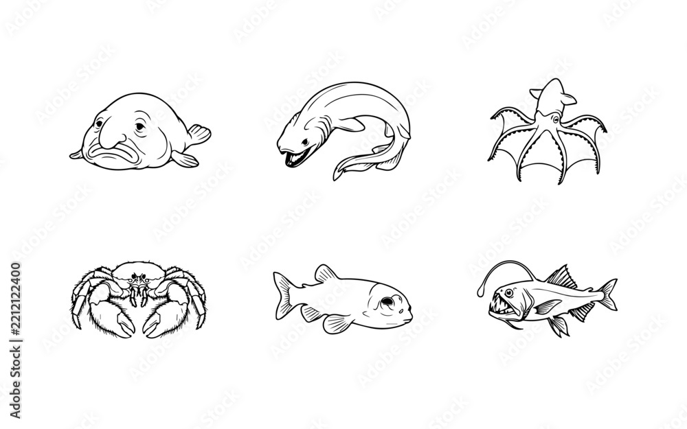 Obraz premium Deep Sea Creatures Line Art Collection