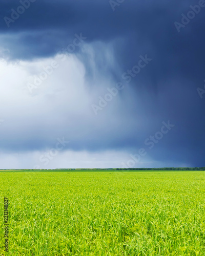 Field and clouds. Dark stormy sky and fresh, green grass.
Dramatic rain clouds approaching over lush farmland field