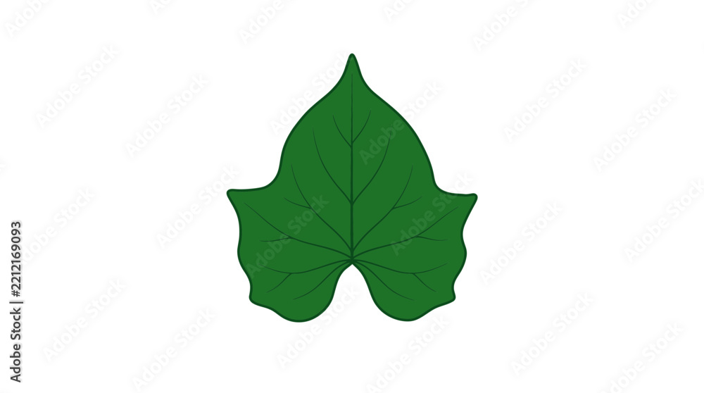 Fototapeta premium Illustration of a single green ivy leaf