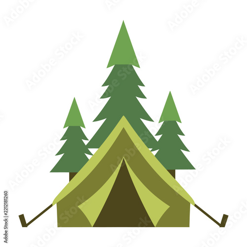Camping tent in forest with pine trees outdoor recreation nature