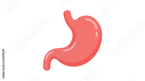 Human stomach vector illustration featuring bright pink colors and clean flat design style artwork