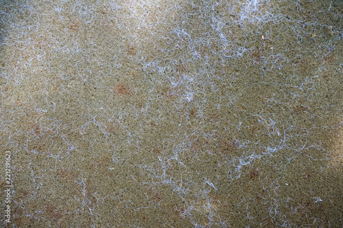 Fotografie Close-up texture background of shredded foam sponge mixed with kapok fiber stuff