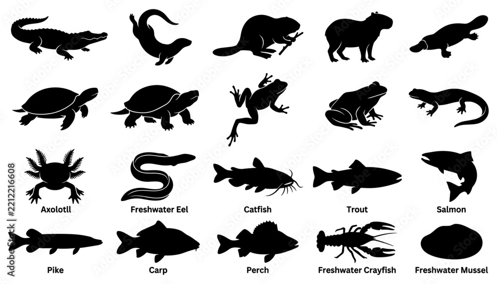 Obraz premium Various Freshwater Fish and Aquatic Animals Silhouette Set Featuring Vector