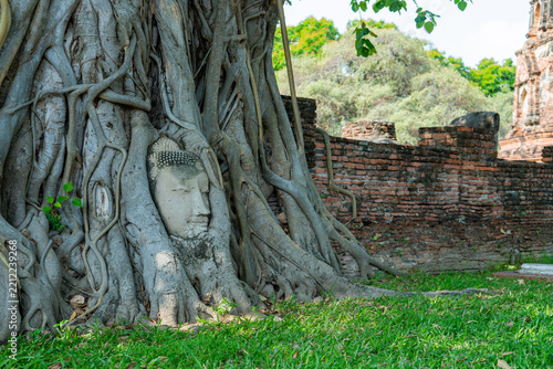 Stone Buddha head entwined in banyan tree roots at Wat Mahathat