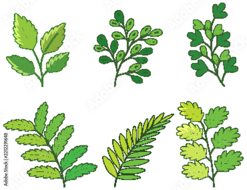 Green Botanical Leaves and Branches Vector Doodles Set