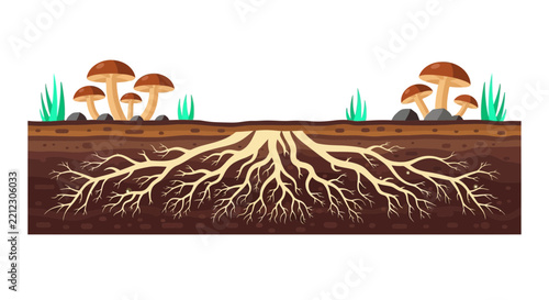 Mushroom Mycelium Root System Cross Section Illustration of Fungi Underground Network