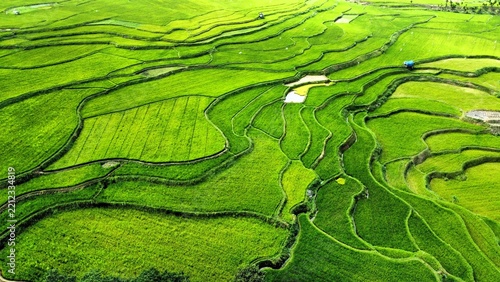 Fotografie cenic aerial perspective of green rice terraces and natural water spring in rura
