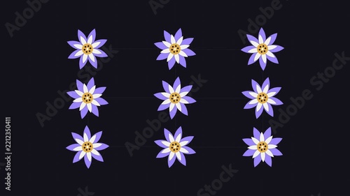 Flower Pattern Animation 