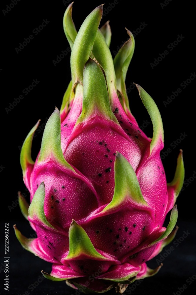 Fototapeta premium Fresh pink dragonfruit with green scales on black background. Tropical pitaya fruit isolated for food design. Exotic dragon fruit skin texture closeup. Healthy organic superfood ingredient for juice