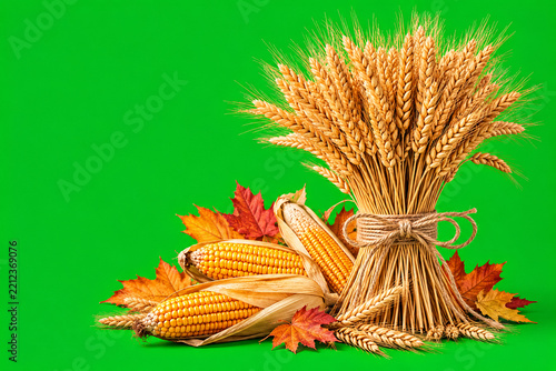 Thanksgiving Harvest Wheat and Corn with Autumn Leaves on Green Background