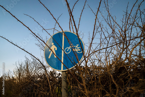 Nature Overgrowing Urban Infrastructure.