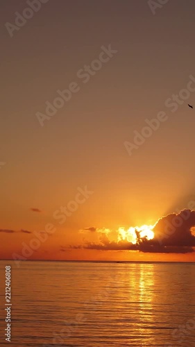 海から顔を出す太陽と静かな夜明け