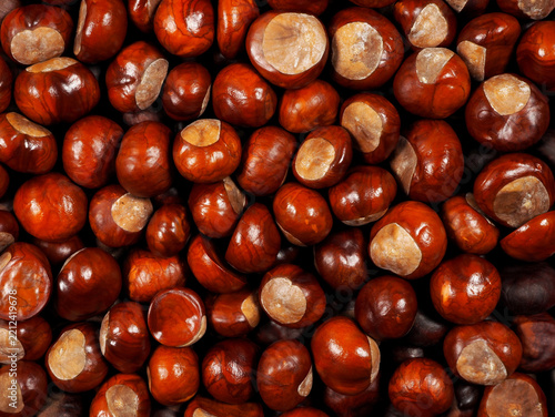 Horse chestnuts background