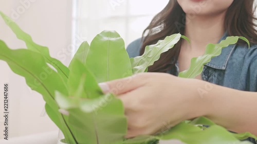 Happy young woman taking care of indoor plants at home.