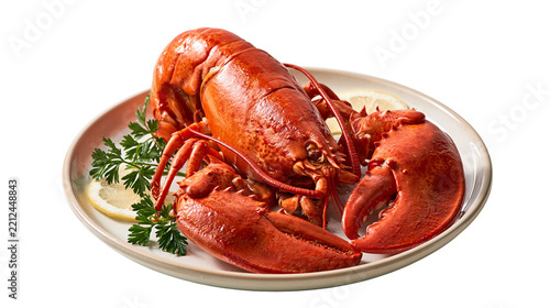 Whole cooked red lobster on a ceramic plate with lemon slices and fresh parsley
