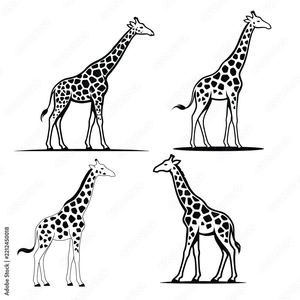 Obraz premium Giraffe Outline Collection, Black and White Wildlife Animal Vector Style