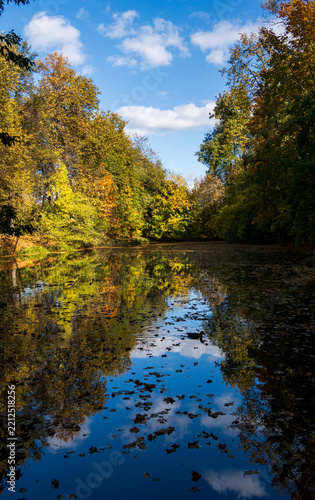 Autumn trees reflect in calm, leaf-dappled water
