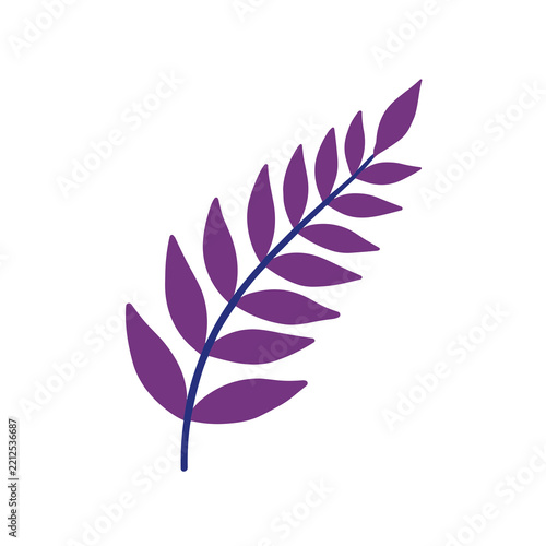 Purple leaf branch isolated on transparent background