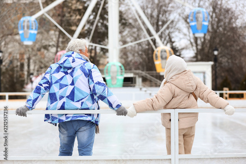 Senior couple at skating rink on winter day, back view