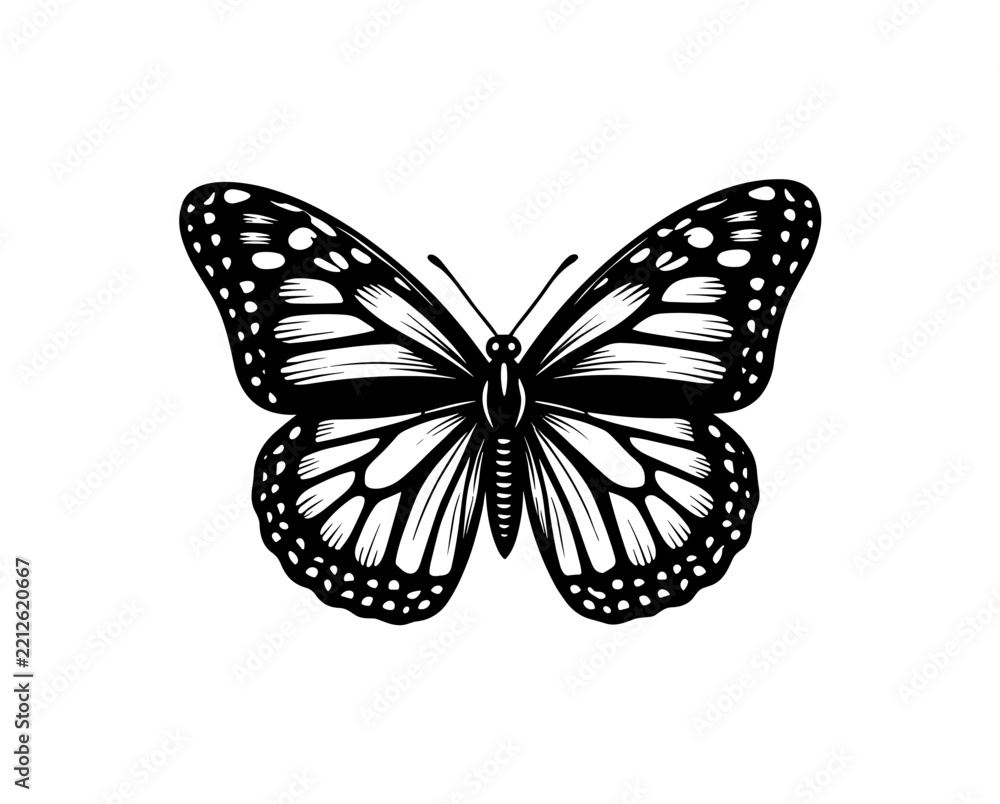 Obraz premium Monarch Butterfly Line Art Illustration