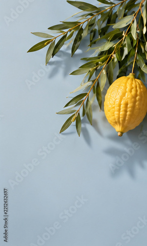 Yellow etrog with olive foliage on pastel blue background