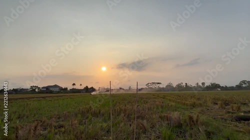 Background of agricultural waste burning on harvested rice paddy field at sunset with smoke. Environmental pollution countryside landscape backdrop template with copy space for banner, poster.