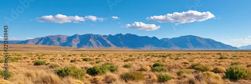 Panel kuchenny z motywem Wide steppe landscape with golden grass, green shrubs, and distant mountains under blue sky with white clouds