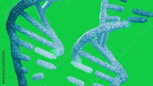 Camera zooming, helix turning, rungs falling, strands peeling, forming coils on clear bg for study