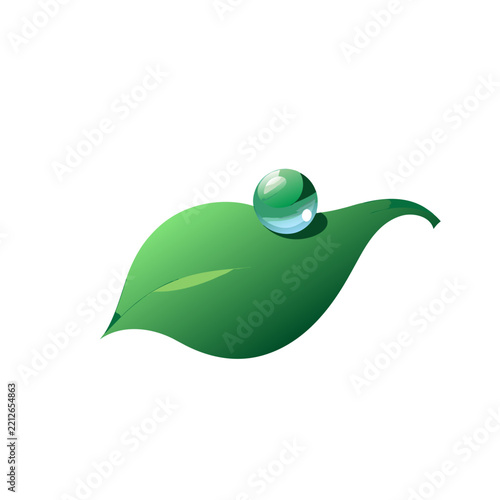 Single Water Drop on a Green Leaf Vector Illustration