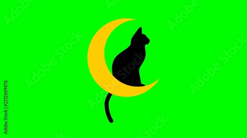Black Cat Silhouette on Crescent Moon Animated Loop Green Screen Background