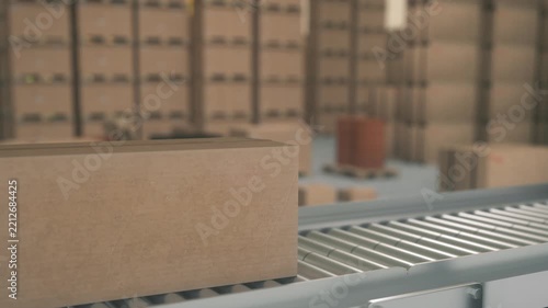 Cardboard Boxes Moving on Warehouse Conveyor With Robotic Arm Pickup