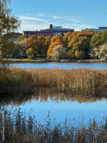 autumn in the park