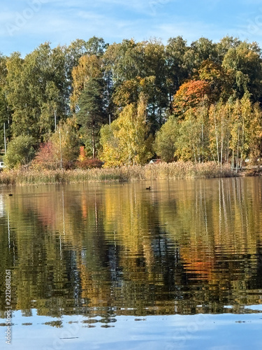Autumn Landscape Reflected in the Calm Water  in Helsinki