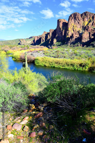 Salt River Recreation Area Arizona