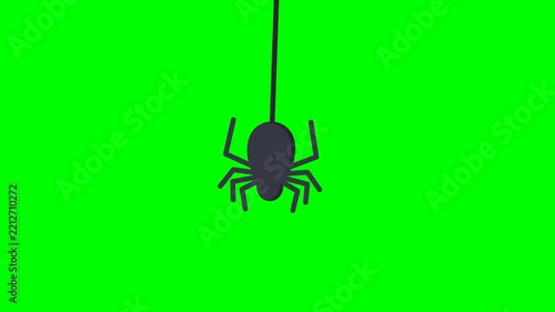 Animated Hanging Spider on Green Screen - Halloween Spooky Element