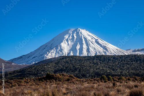 View of Mount Ngauruhoe with snow-capped volcanic slopes rising above native scrubland under a clear blue sky in Desert Road, Waikato Region, New Zealand.