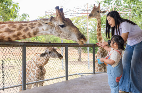 Canvas Print Asian Mother and Daughter Feeding Giraffes at Open Zoo,Caring Asian mother holdi
