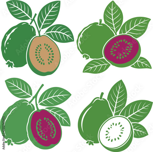 Set of hand drawn guava fruit illustrations with leaves in vector