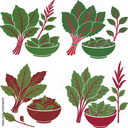 Red spinach leaves and amaranth vegetable vector illustration set