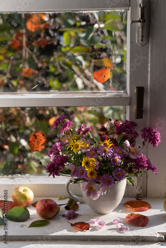 autumn asters on the windowsill