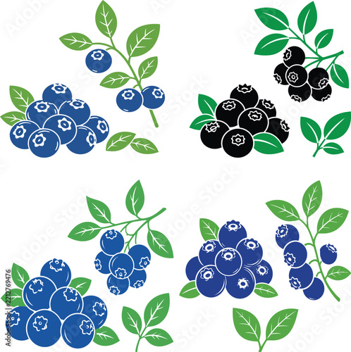 Blueberry fruit vector illustration set with leaves and branches