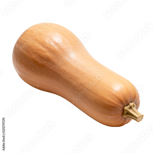 [Transparent Background PNG]Whole fresh butternut squash on plain white background