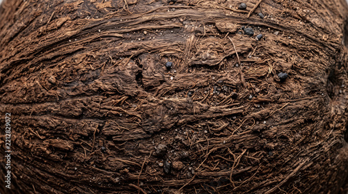Organic brown coconut shell texture background with fibrous surface